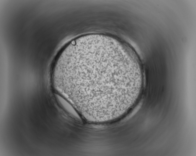 X0000086951501200705141812