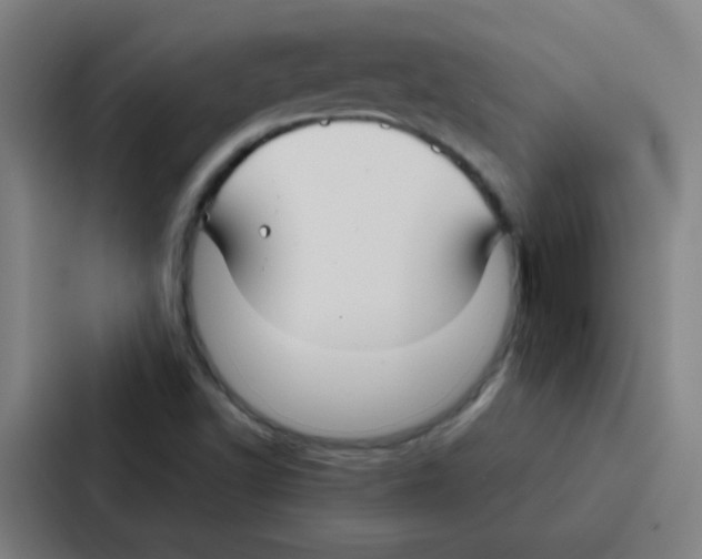 X0000086951502200705141812