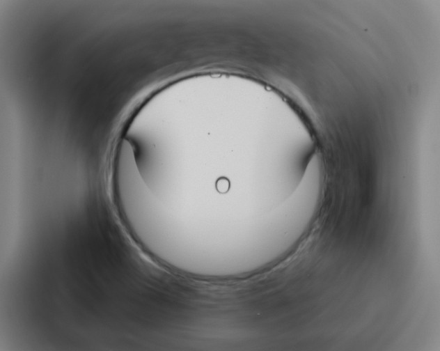 X0000086951504200705141812