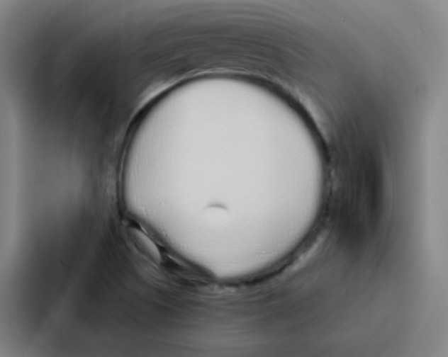 X0000086951505200705141812