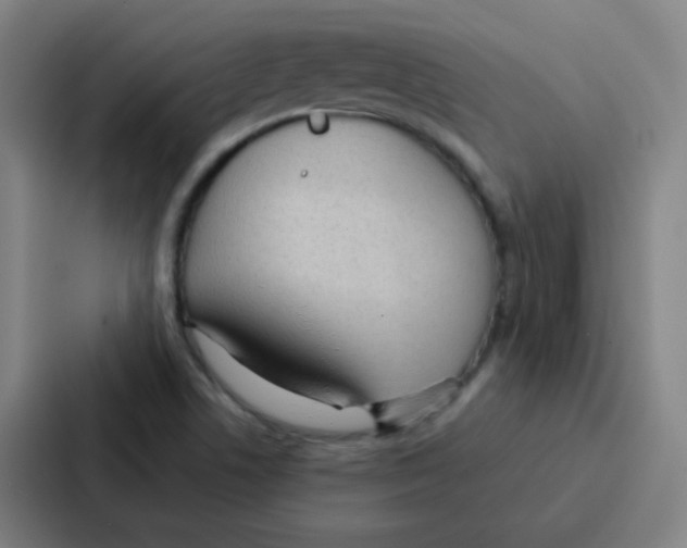 X0000086951506200705141812