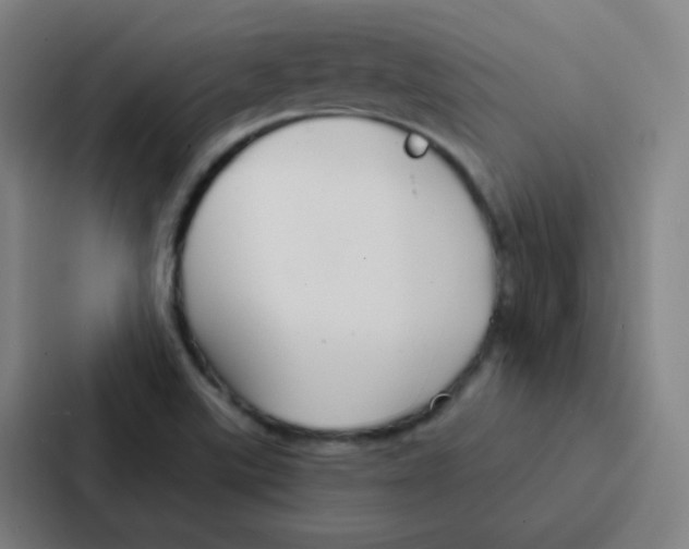 X0000086951507200705141812