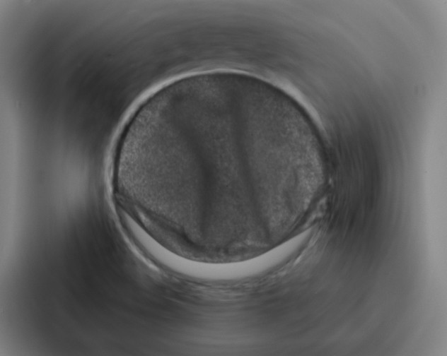 X0000086951508200705141812