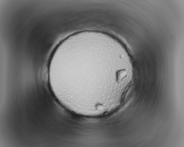 X0000086951509200705141812