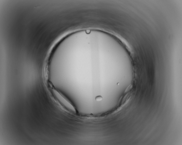 X0000086951510200705141812