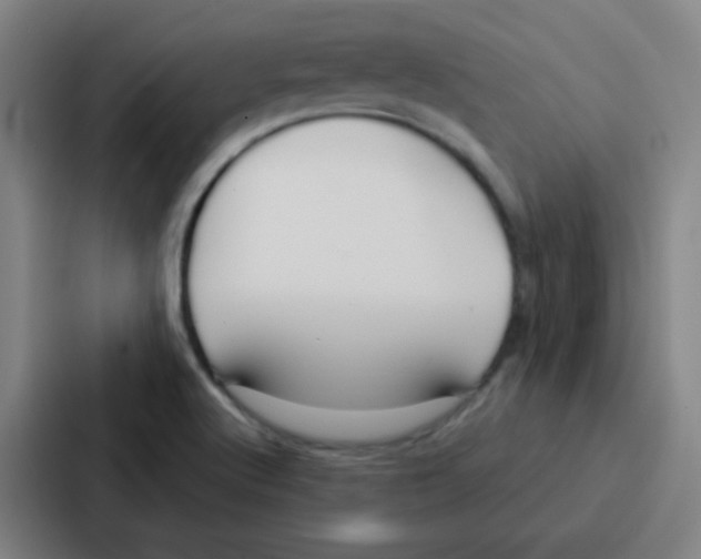 X0000086951512200705141812