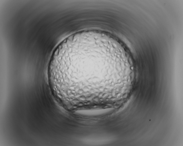 X0000086951513200705141812