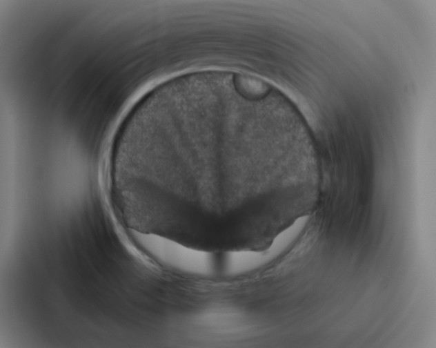 X0000086951515200705141812