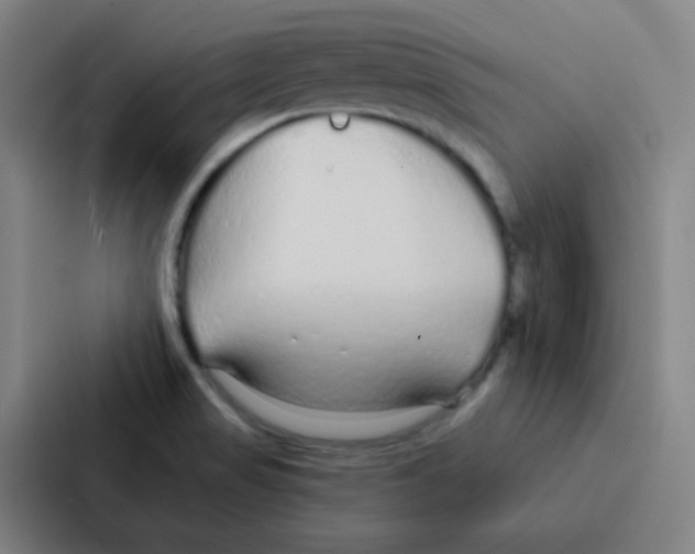 X0000086951517200705141812