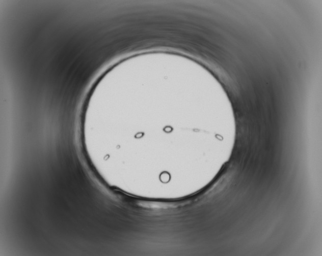 X0000086951518200705141812