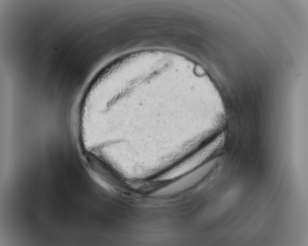 X0000086951519200705141812