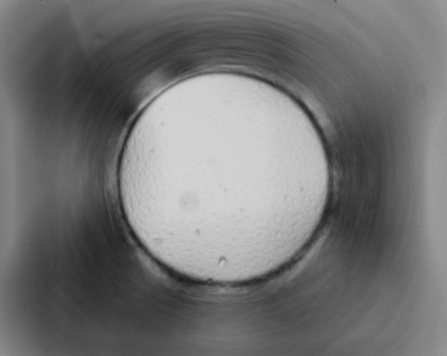 X0000086951521200705141812