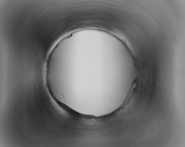 X0000086951524200705141812