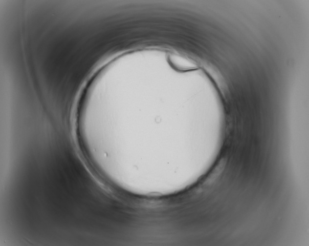 X0000086951525200705141812