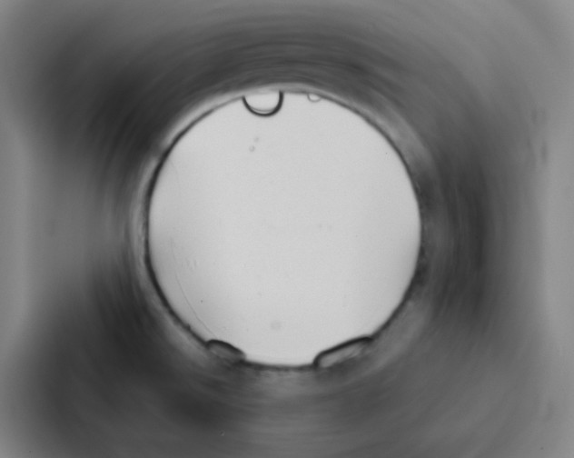 X0000086951526200705141812