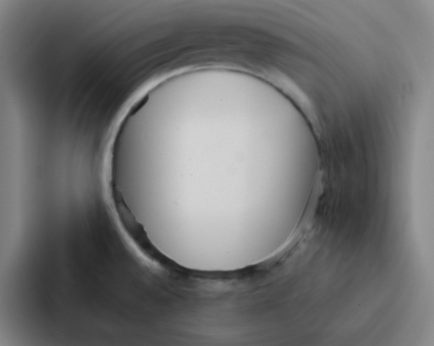 X0000086951528200705141812