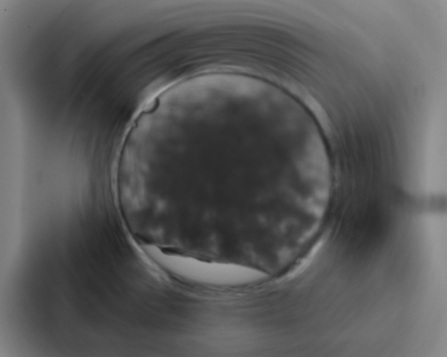 X0000086951529200705141812