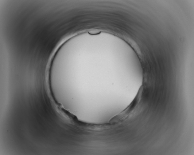 X0000086951530200705141812