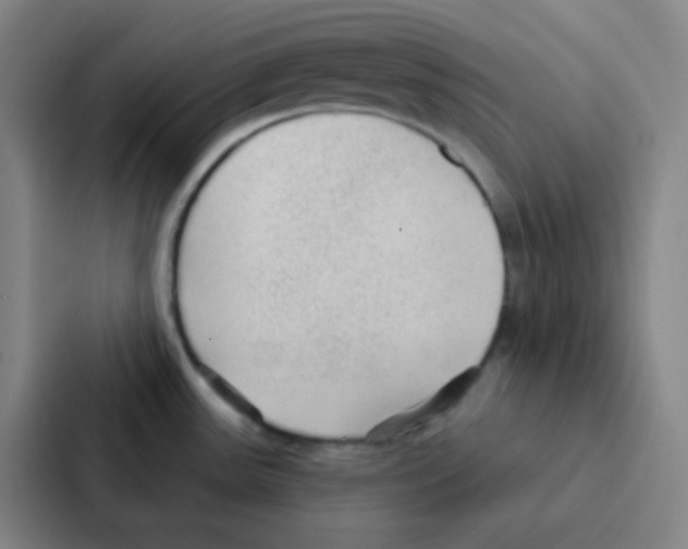 X0000086951531200705141812