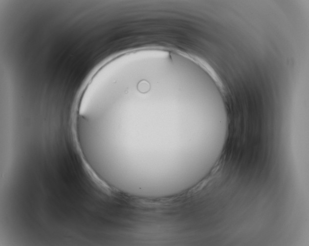 X0000086951532200705141812