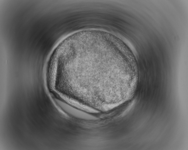 X0000086951533200705141812