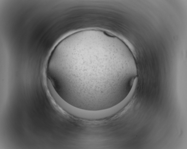 X0000086951534200705141812