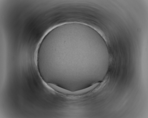 X0000086951535200705141812