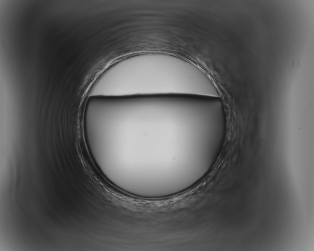 X0000086960002200704161134
