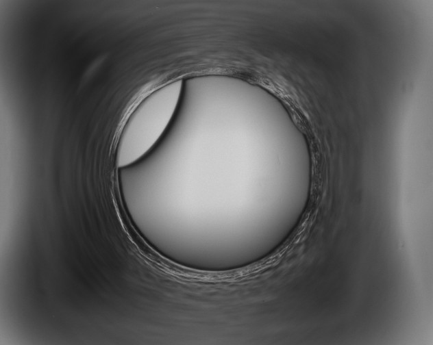 X0000086960003200704161134