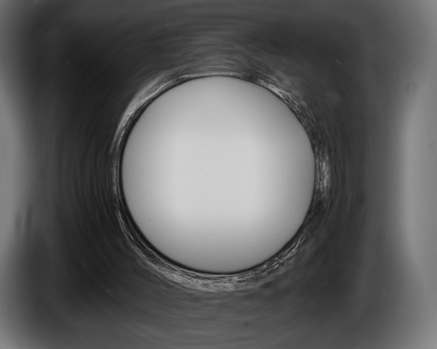X0000086960004200704161134