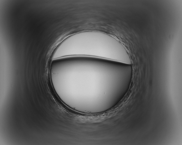 X0000086960005200704161134