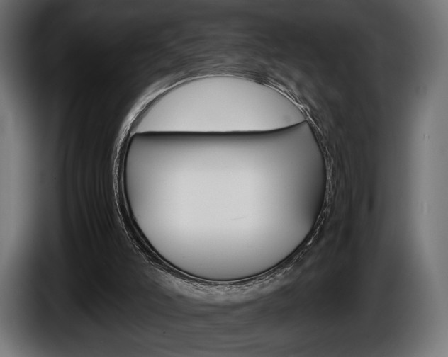 X0000086960006200704161134