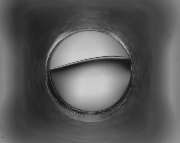 X0000086960008200704161134