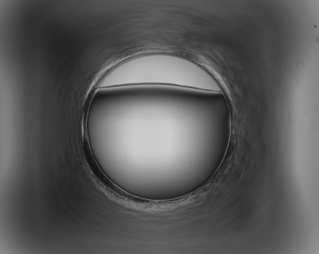 X0000086960011200704161134