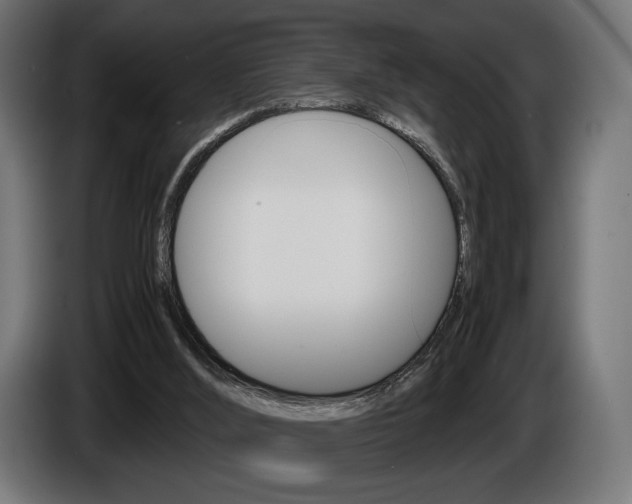 X0000086960012200704161134