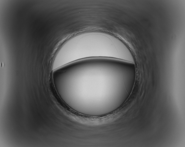 X0000086960015200704161134