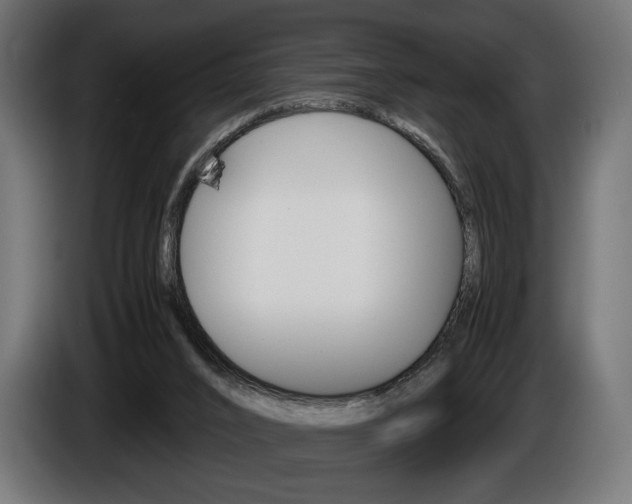 X0000086960016200704161134