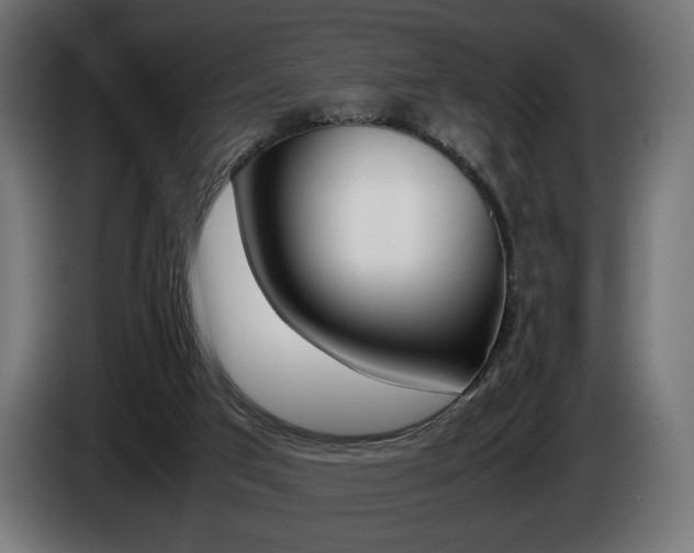 X0000086960017200704161134