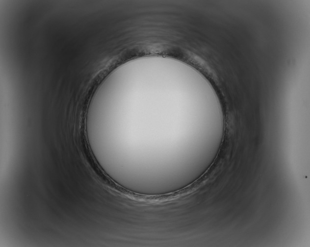 X0000086960018200704161134