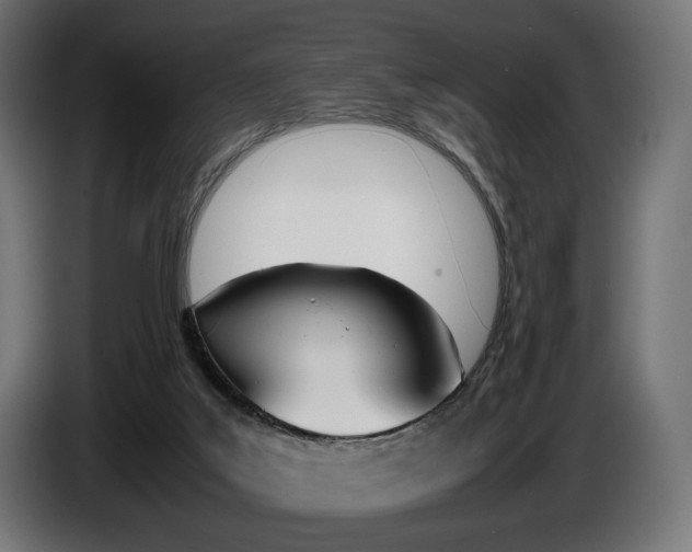 X0000086960019200704161134