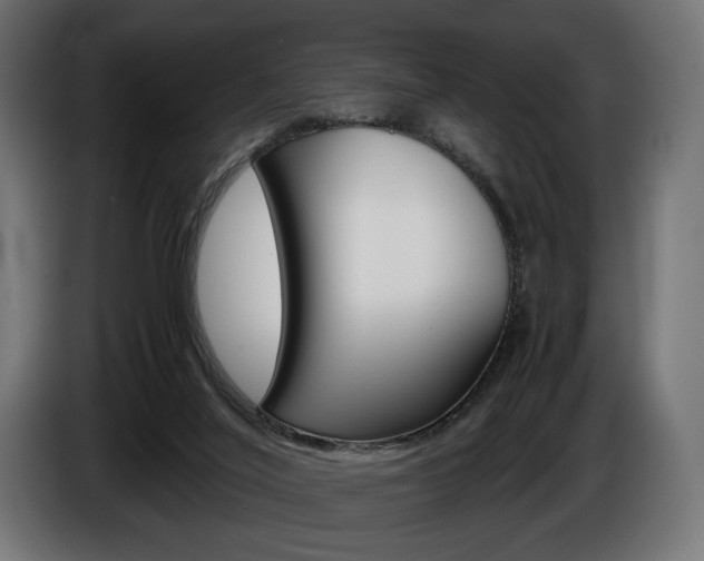 X0000086960020200704161134