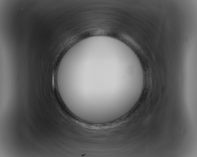 X0000086960022200704161134