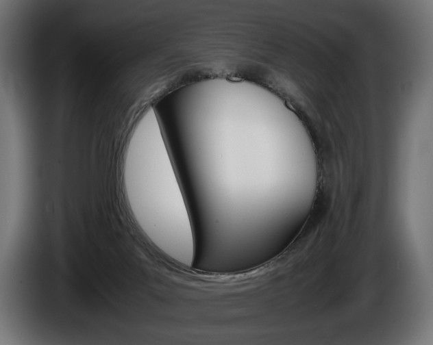 X0000086960023200704161134