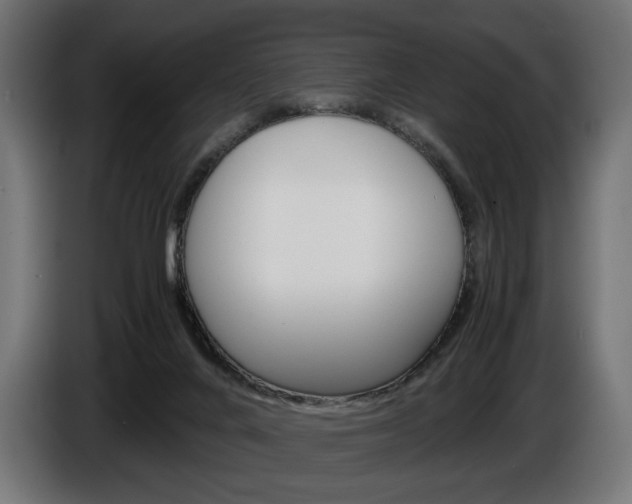 X0000086960024200704161134