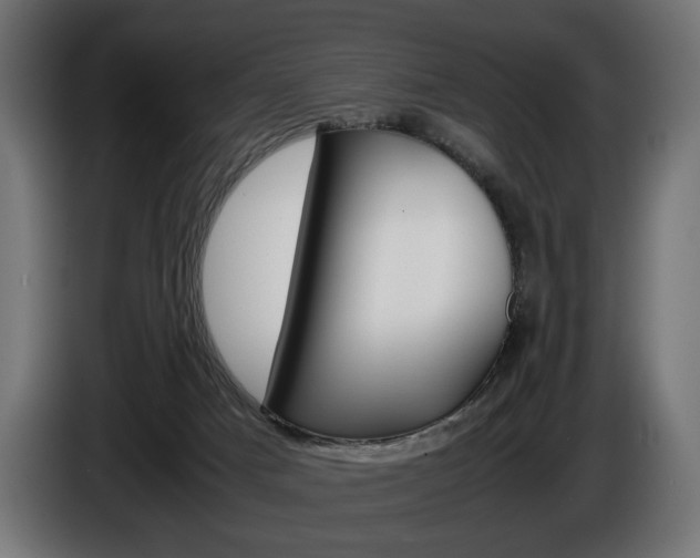 X0000086960025200704161134