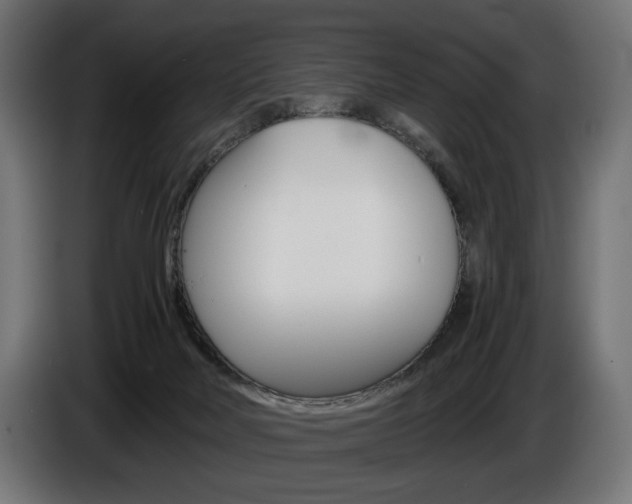 X0000086960026200704161134