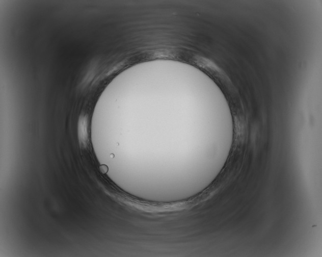 X0000086960028200704161134
