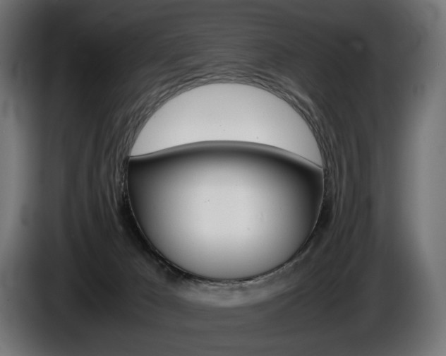 X0000086960029200704161134