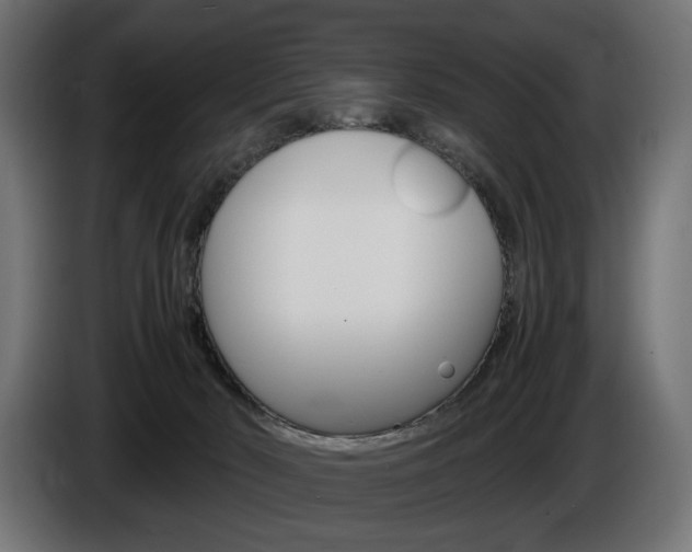 X0000086960030200704161134