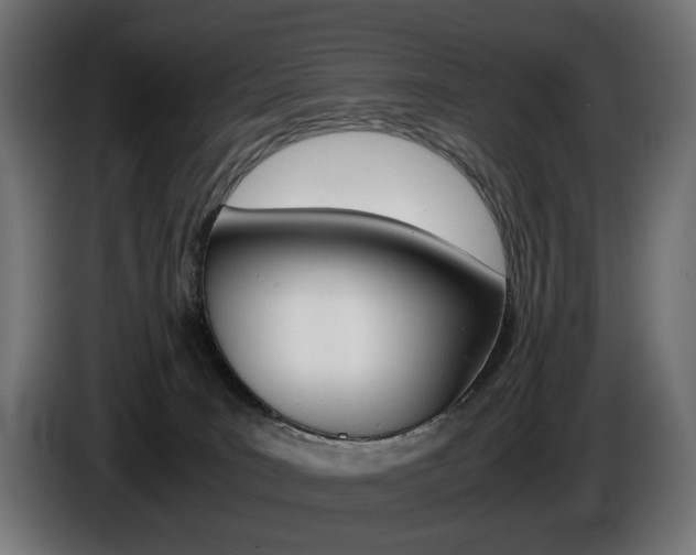 X0000086960035200704161134